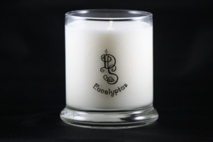 Eucalyptus scented soy clean burning candle